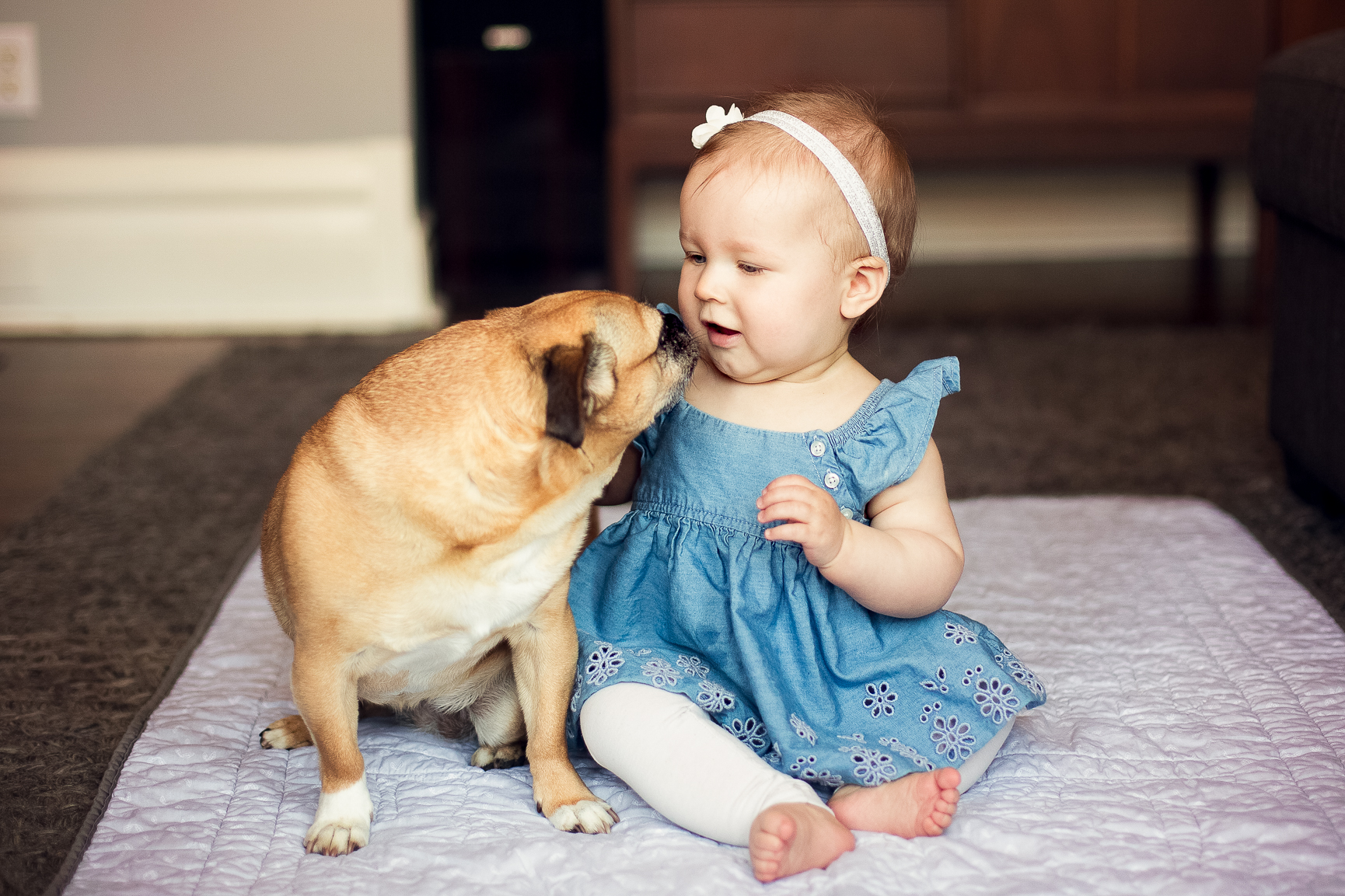 Toronto Baby Photography - Baby girl sitting on rug with pet dog