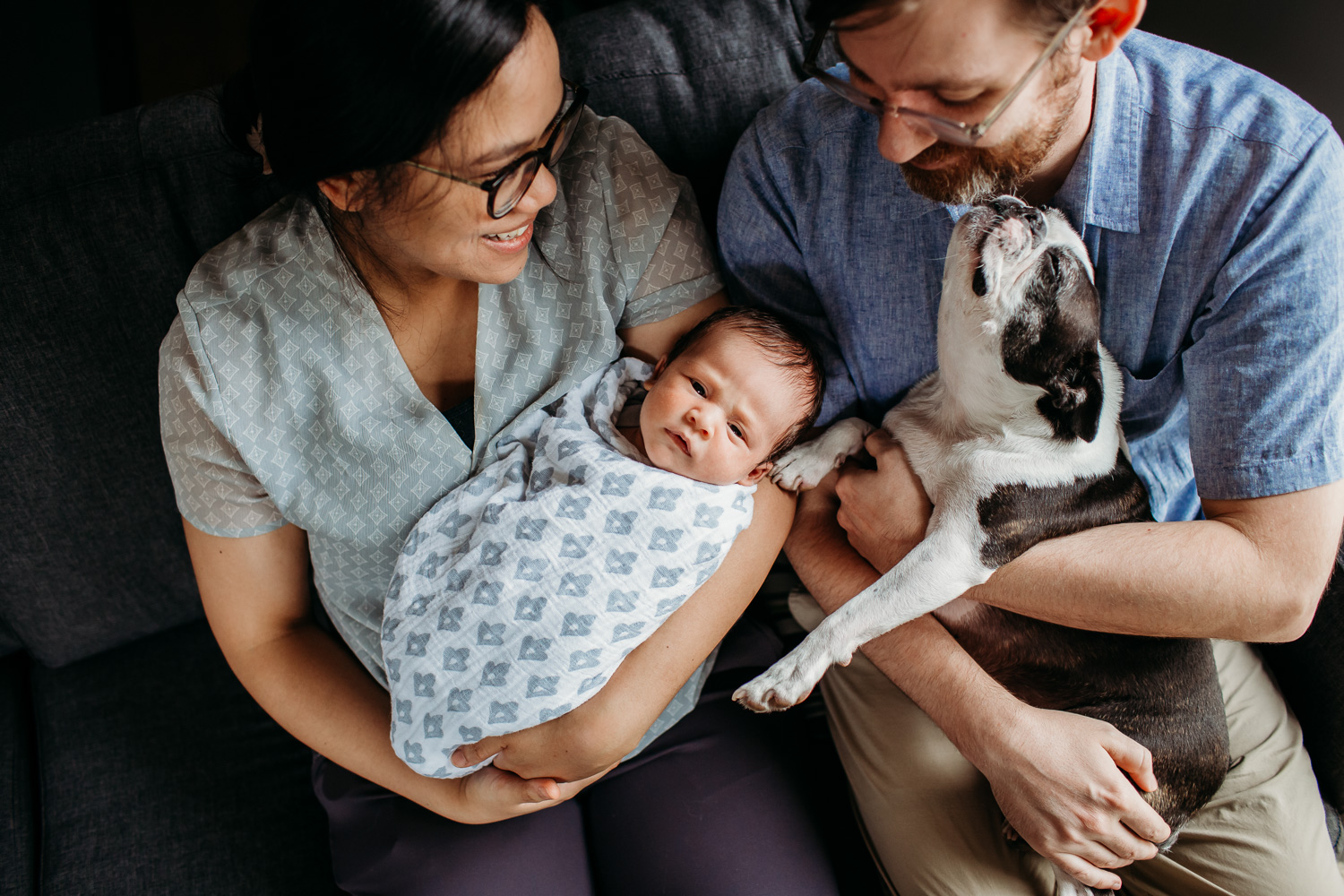 Newborn family portrait on couch with pet dog