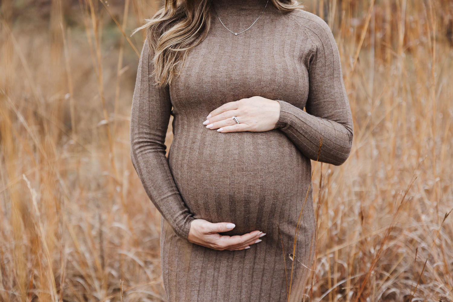 High Park Maternity Portraits 9