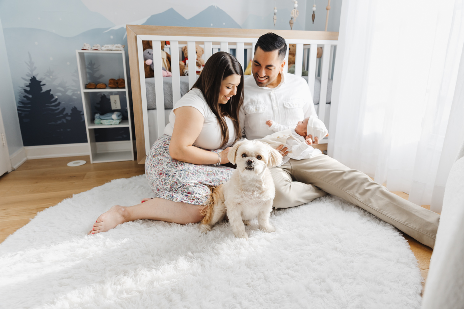 Family dog posing for the camera during in-home newborn session in Toronto home